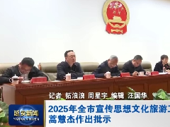 2025年延安市宣传思想文化旅游工作会议召开 蒿慧杰作出批示