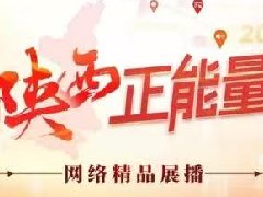 <b>2024陕西正能量网络精品展播丨正能量专题专栏：问政陕西</b>