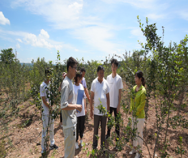 <b>陕西中医药大学“创梦”团队助力乡村振兴</b>