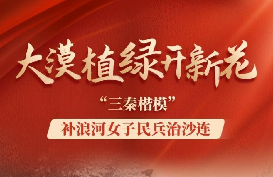 <b>大漠植绿开新花——记“三秦楷模”补浪河女子民兵治沙连</b>