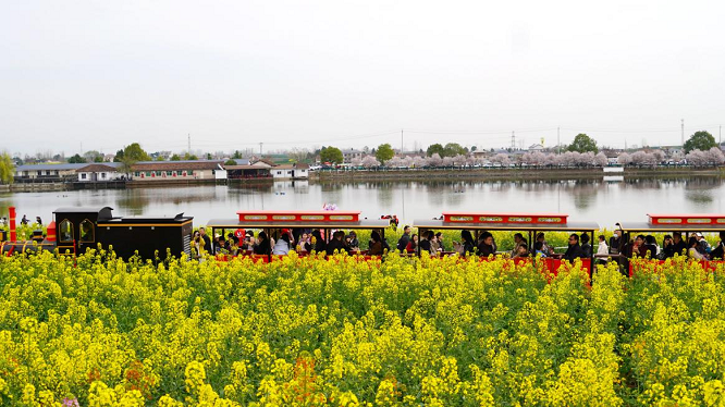 <b>2025最美油菜花海汉中春季文旅消费季汉台系列活动启动  </b>