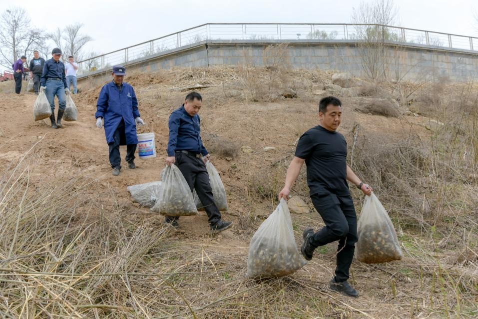 <b>林皋湖引育“阳澄湖一号”大闸蟹 200万蟹苗孕育金秋盛宴</b>