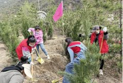 <b>山西省志愿者协会喊你一起植树造林</b>