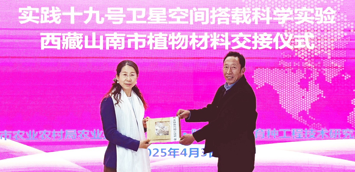 <b>实践十九号卫星搭载西藏山南植物材料完成交接</b>