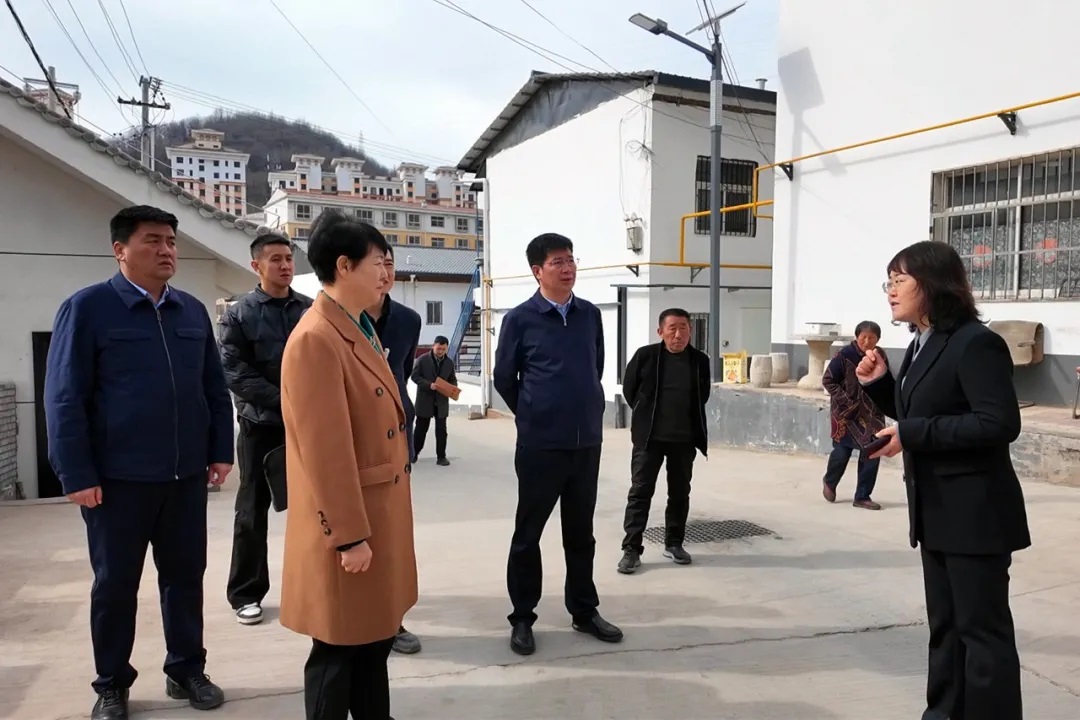 <b>延安市宝塔区人大常委会主任常延丽调研山体沟道人居环境综合治理工作</b>