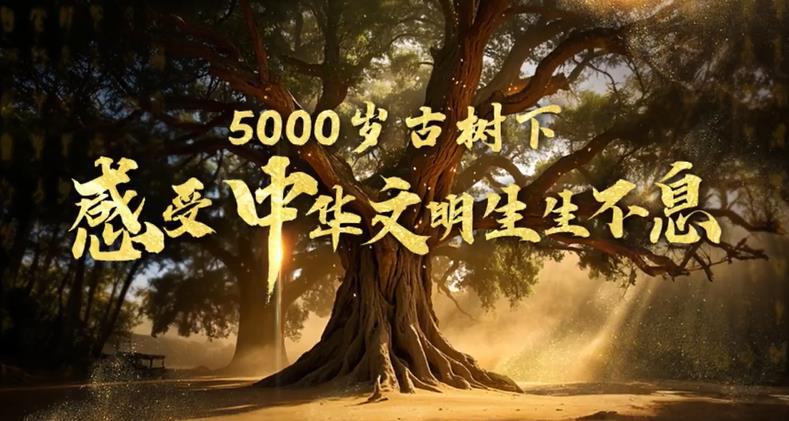 <b>树载千秋·同根同祖丨5000岁古树下感受中华文明生生不息</b>
