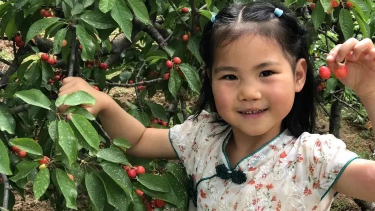 <b>灞桥区席王街道中心幼儿园樱桃季主题活动：“樱”有尽有 悦享童年</b>