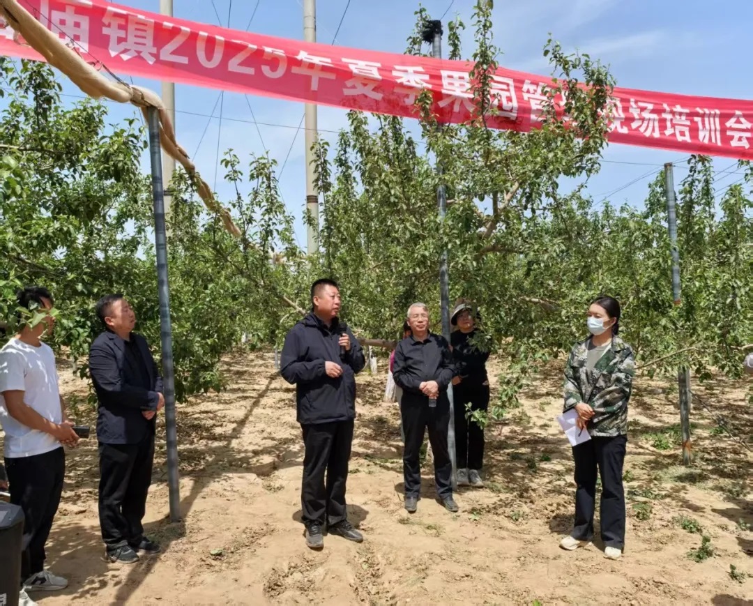 <b>延安市吴起县长官庙镇举办夏季果园管理现场培训会</b>