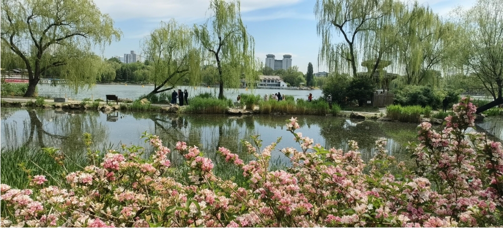 <b>超百日！今年前4月，北京市空气优良天数达107天</b>