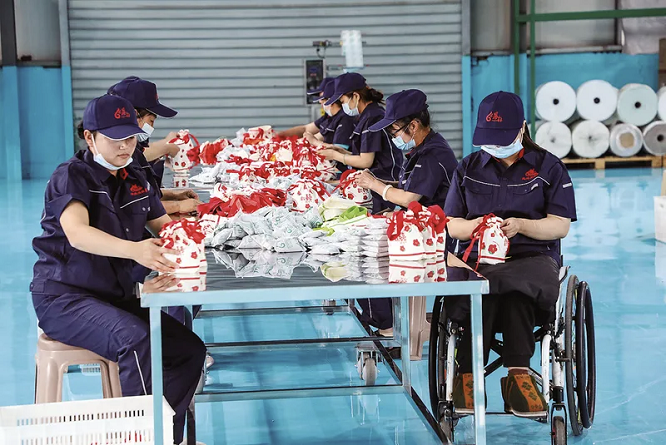 <b>商洛市丹凤县：“科技+生态”为绿色循环产业添动能  </b>