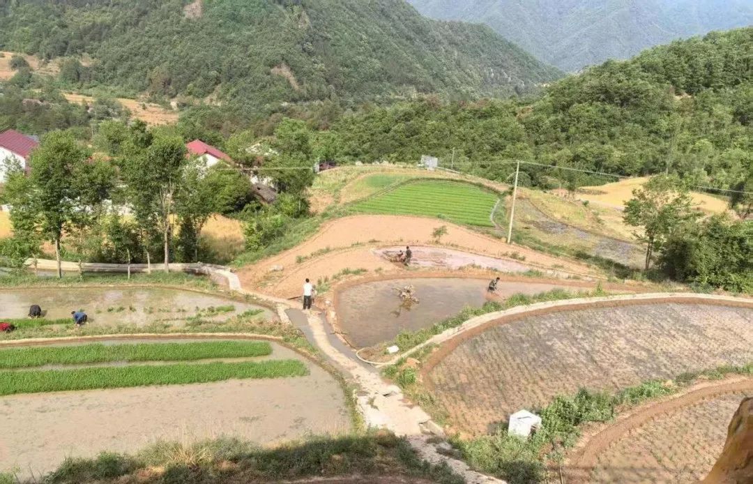 <b>群策群力抗旱情 汉中多措并举保供水</b>