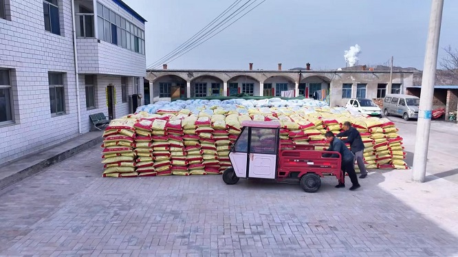 <b>榆林市府谷县：精准施策缓旱情 筑牢粮食安全线  </b>
