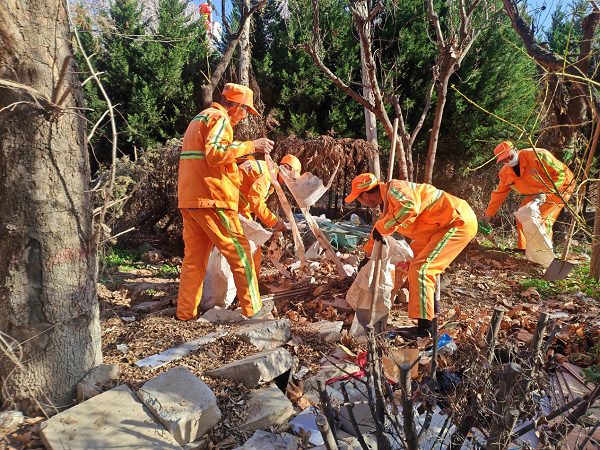 <b>宝鸡市渭滨区城市精细治理出实招 龙山片区焕新颜彰显治理成效</b>