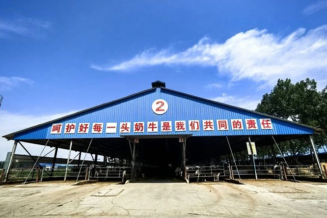 西安草滩农场获评陕西省畜禽核心育种场