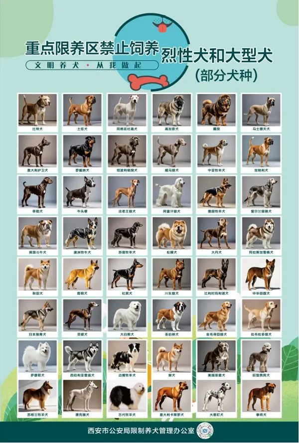 <b>多地解禁“中华田园犬”，西安呢？警方这样说→</b>