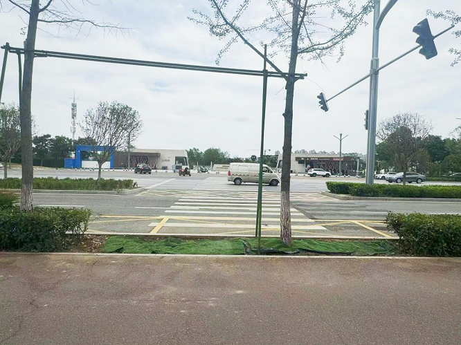 <b>路通了，又没完全“通”……西安一公园门口斑马线被绿化带阻断  </b>