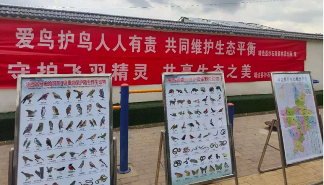 <b>榆林市靖边县公安局：芦河岸边的“藏蓝护鸟人”  </b>