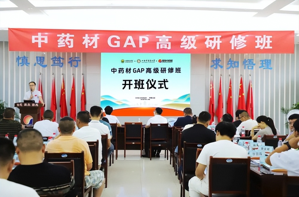 百余药企聚振东 共赴 GAP 研修盛宴筑产业新高地