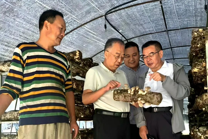<b>汉中市留坝县：乡村振兴玩出科技感  </b>