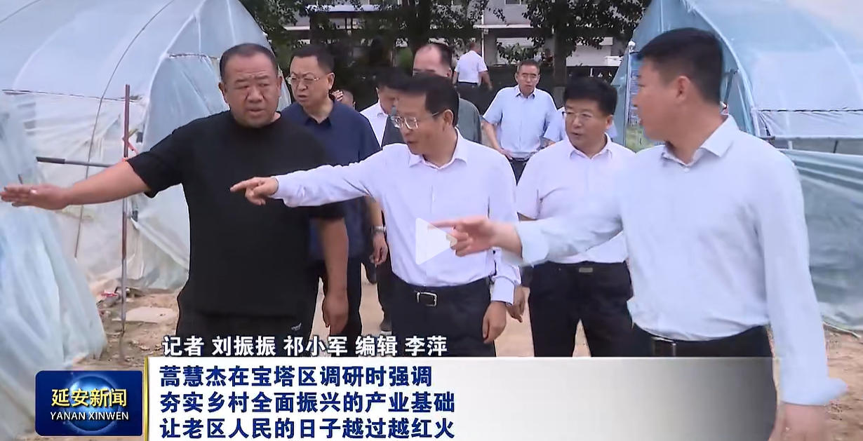 <b>蒿慧杰在宝塔区调研时强调 夯实乡村全面振兴的产业基础</b>