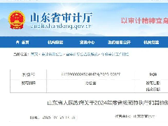 <b>审计曝光！山东两市向505名死亡人员发放养老保险</b>