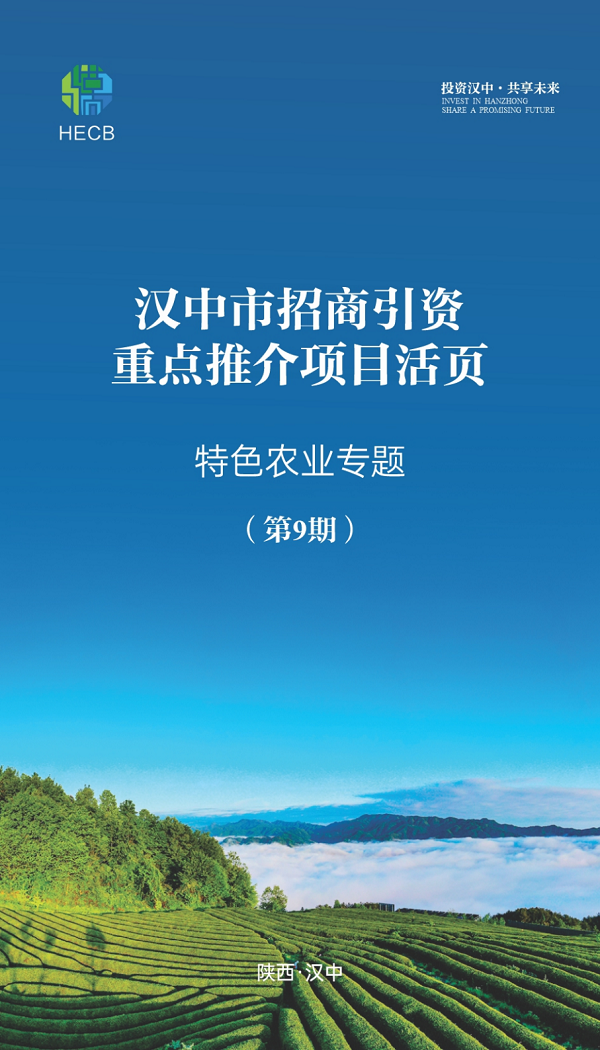 <b>汉中市招商引资重点推介项目活页（第九期）</b>