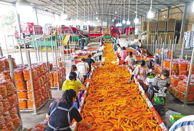 <b>榆林市靖边县：黄土高原上的“候鸟农人”</b>