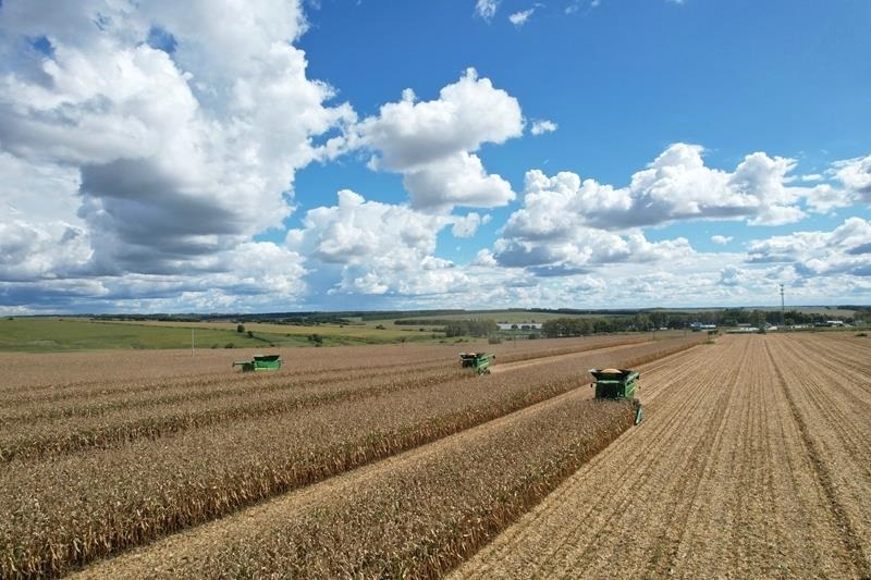 <b>时政微观察丨丰收时节感悟总书记的“三农”情怀</b>