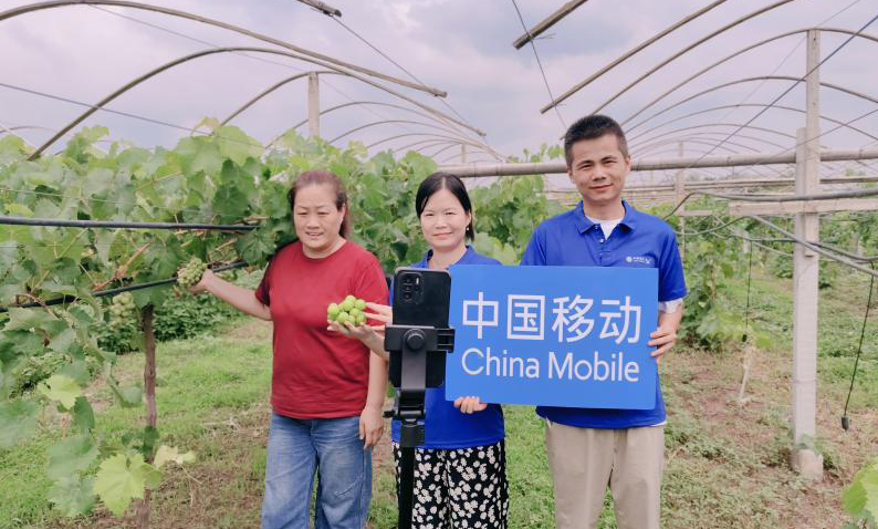 <b>陕西移动西安分公司：科技扎根田垄 绘就乡村振兴新图景</b>