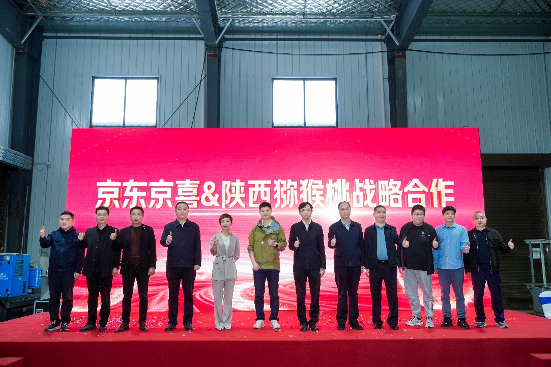 <b>全国最大规模猕猴桃开采：陕西产量占全国三分之一 京东京喜包销1000万斤</b>