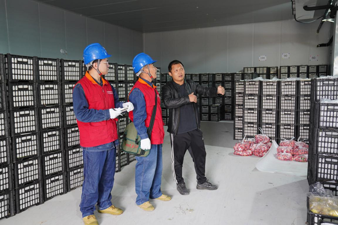 <b>国网吴堡县供电公司：电网“滋养”富民果  </b>