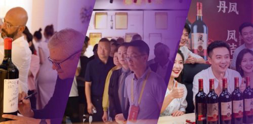 <b>“一城红酒・百年味道”2025 陕西丹凤红酒文化交流会亮点抢先看</b>