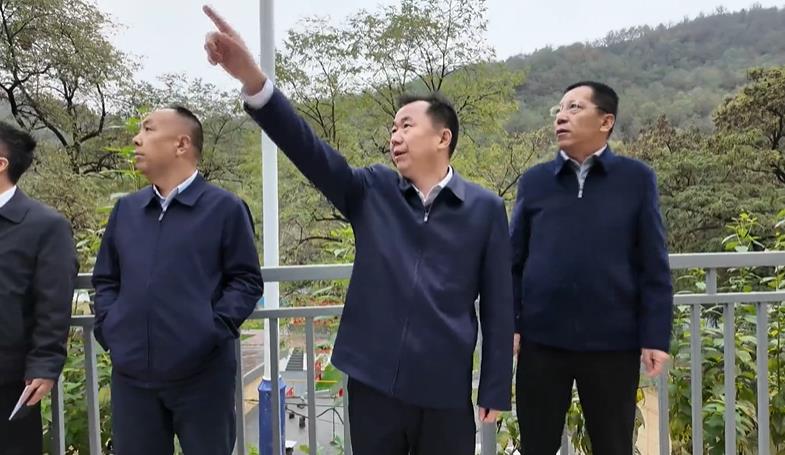 <b>张明督导检查安全防范 地质灾害防治 山体沟道综合治理等工作</b>