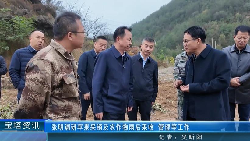 张明调研苹果采销及农作物雨后采收 管理等工作