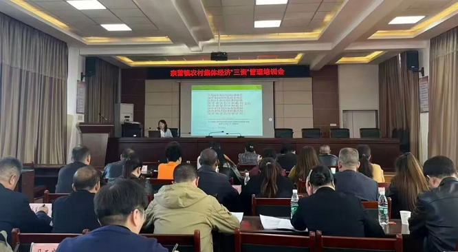 <b>汉中市宗营镇杨家山村:集体资产既保值又增值!</b>