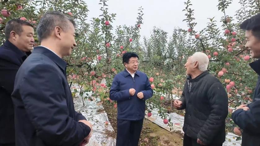<b>延安市委常委、宝塔区委书记王明智调研农业农村工作</b>