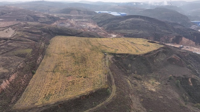 <b>榆林市府谷县:高标准农田绘就好“丰”景  </b>
