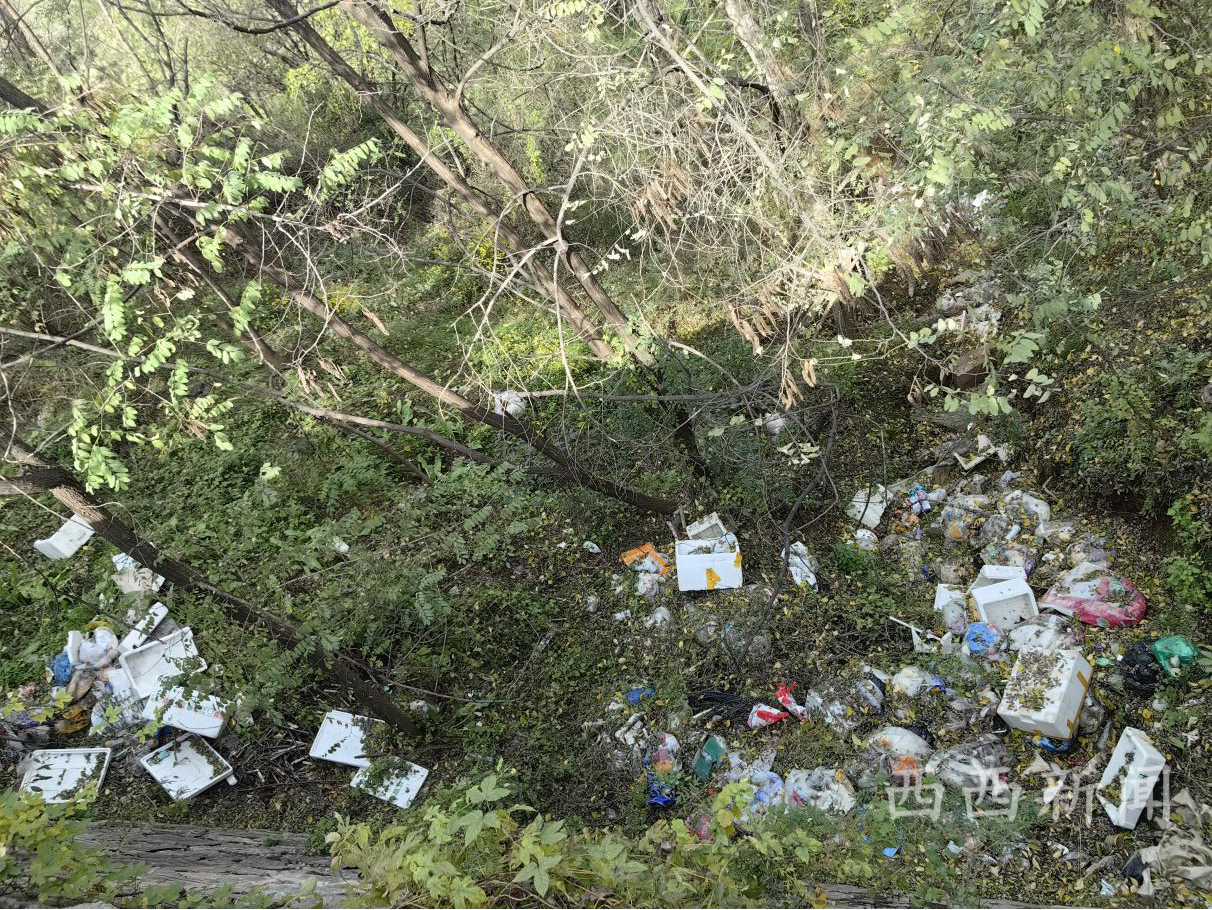 <b>铜川耀州树林里藏“垃圾堆”，下方是沮河饮用水源地</b>