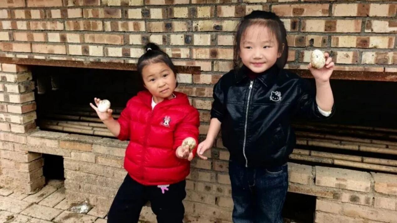 西安市灞桥区席王街道中心幼儿园实践教育点亮童年成长路