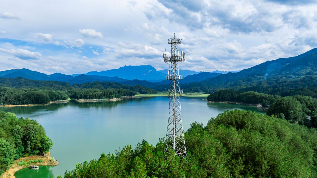 数字赋能藤编产业 网络铺就振兴之路