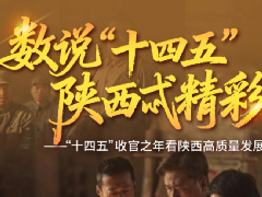 陕西文化强省建设取得新成效