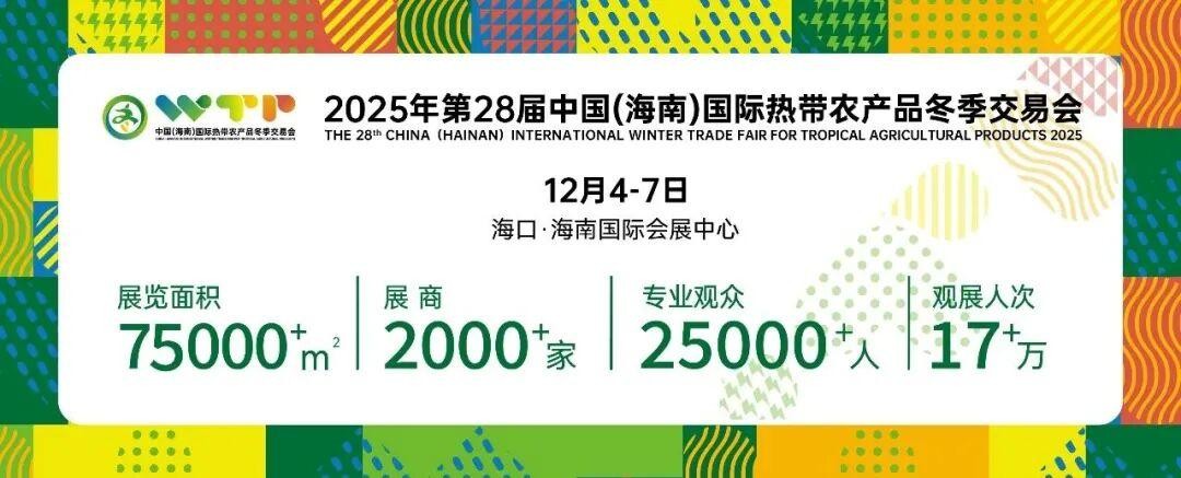 <b>“薯”香越山海！海南冬交会重磅推出卢龙地标珍品！</b>