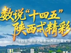 铜川从“煤城”到“铝都”，资源型城市转型升级