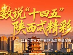 咸阳加速推进西咸一体化，建设现代化“西部名市丝路名都