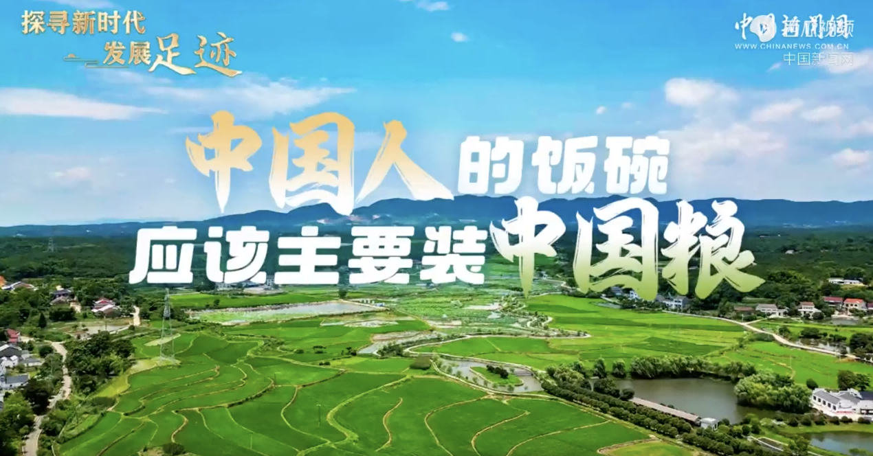 <b>探寻新时代发展足迹｜中国人的饭碗应该主要装中国粮</b>