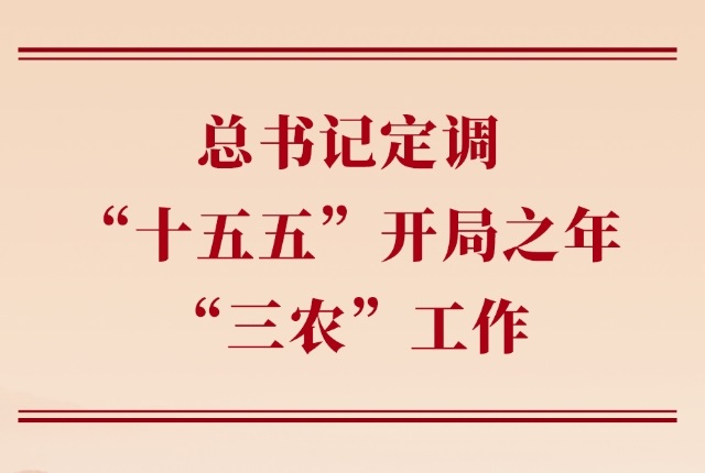 第一观察丨总书记定调“十五五”开局之年“三农”工作