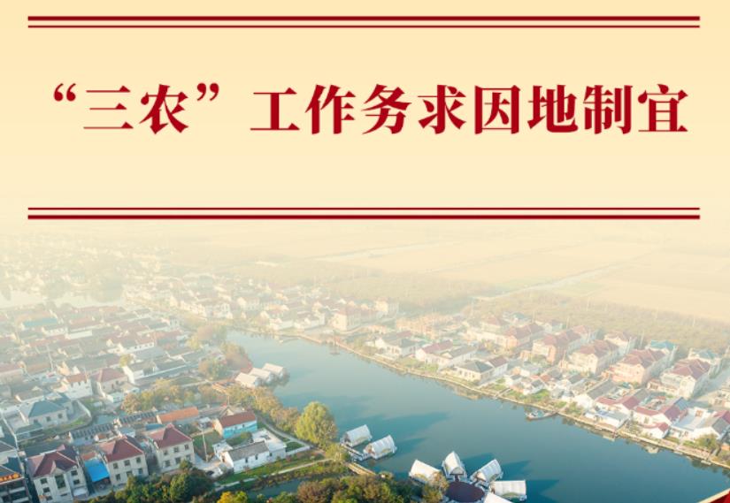 学习手记丨“三农”工作务求因地制宜