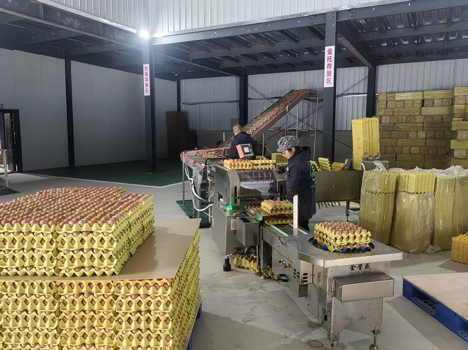 <b>商洛市商南县全力确保重要农产品供给  </b>