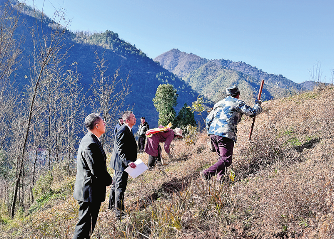 <b>从“有价可循”到“投资未来”  商洛积极探索“碳票+司法”生态修复机制</b>