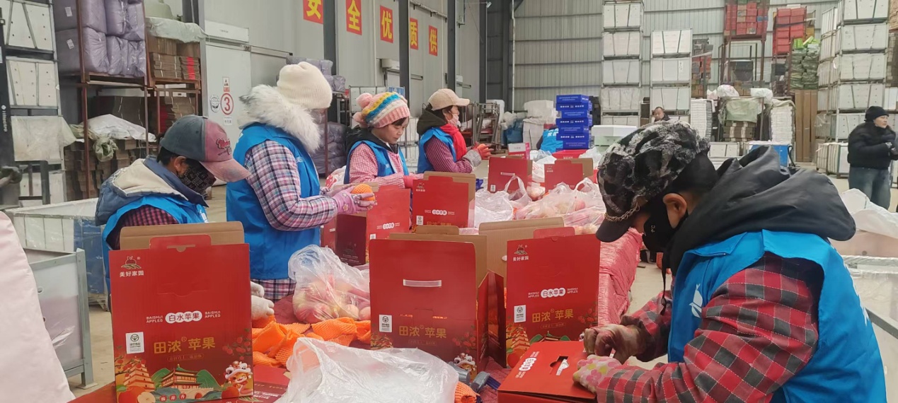 <b>渭南市白水苹果节前备货忙 返乡创业富乡邻</b>